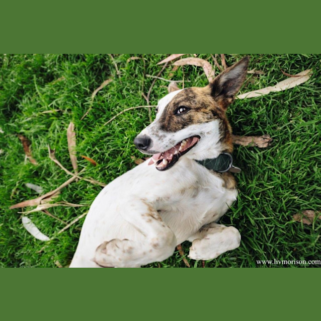 Photo of Dizzy Babbington