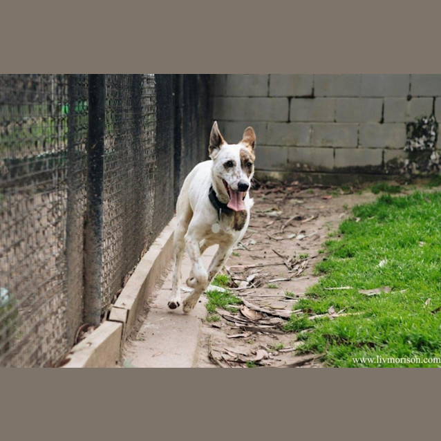 Photo of Dizzy Babbington