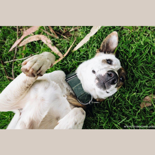 Photo of Dizzy Babbington