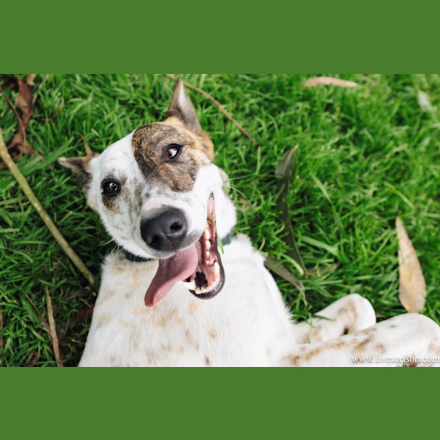 Photo of Dizzy Babbington