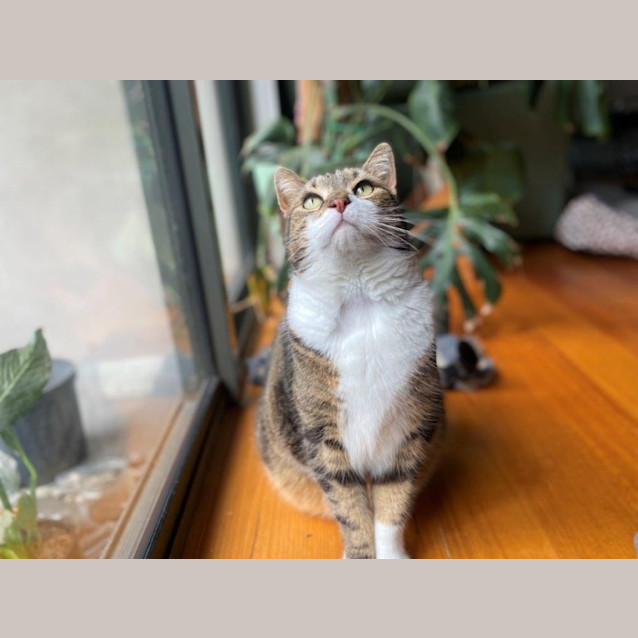 Photo of Salem Babbington