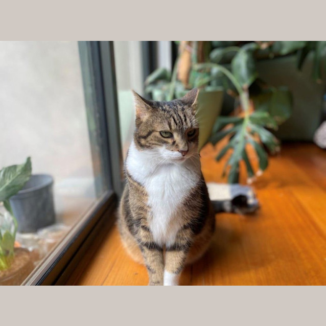 Photo of Salem Babbington