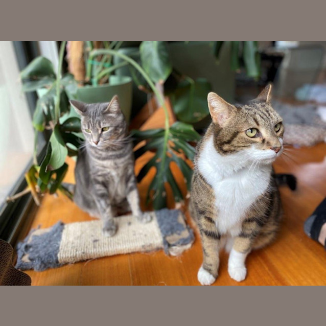 Photo of Zilla Babbington