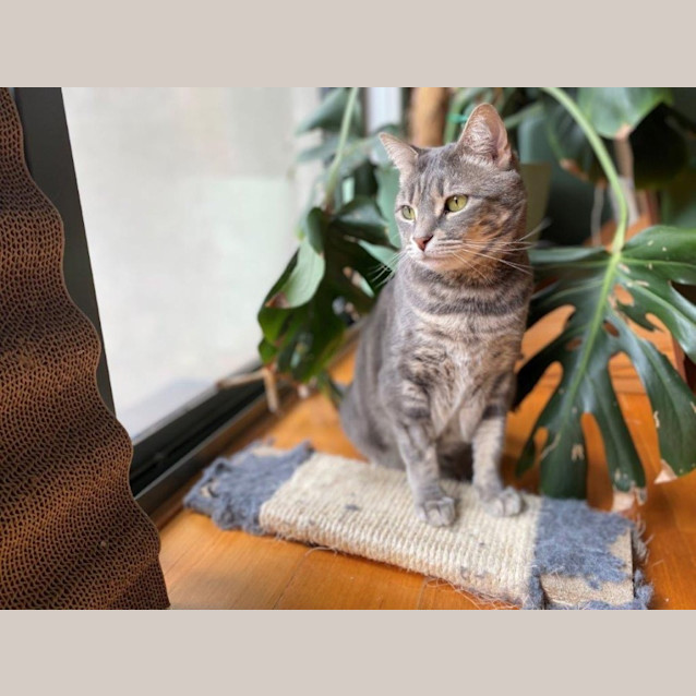 Photo of Zilla Babbington