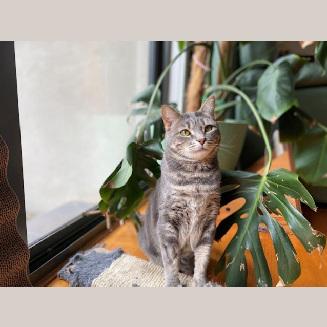 Photo of Zilla Babbington