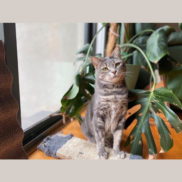 Photo of Zilla Babbington