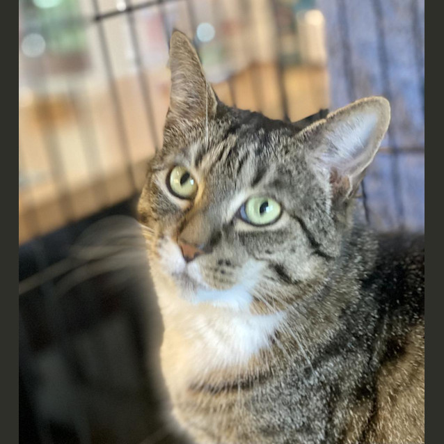 Photo of Florence Beatrice