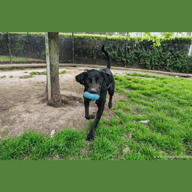 Photo of Matti Illingworth