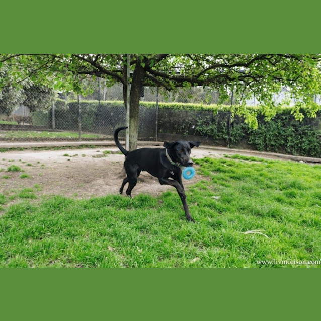 Photo of Matti Illingworth