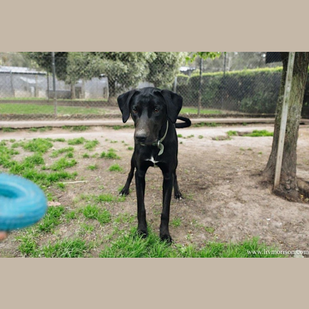 Photo of Matti Illingworth