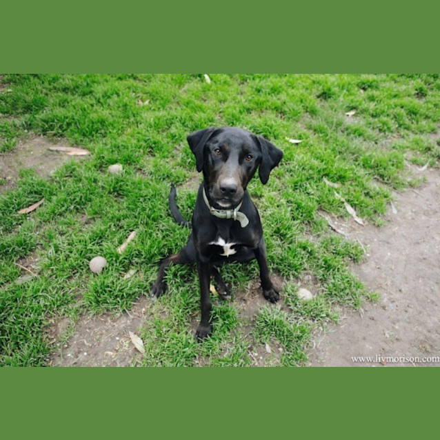 Photo of Matti Illingworth