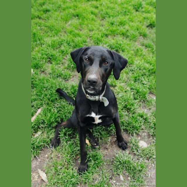 Photo of Matti Illingworth