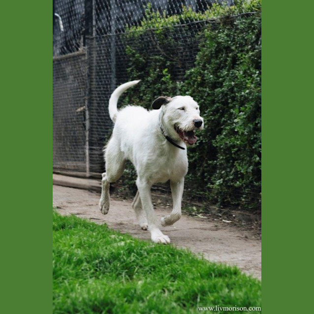 Photo of Ricky Ingersoll