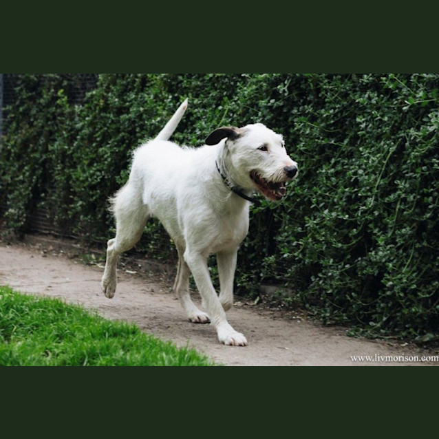 Photo of Ricky Ingersoll