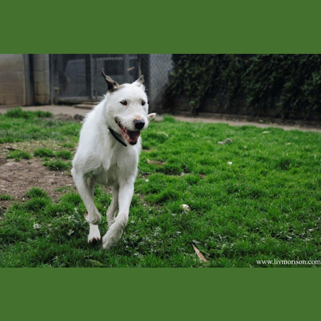 Photo of Ricky Ingersoll