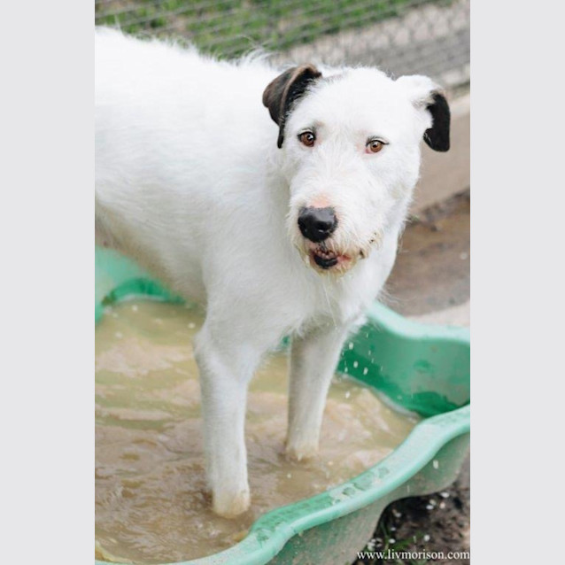 Photo of Ricky Ingersoll