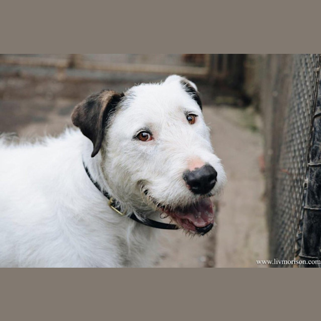 Photo of Ricky Ingersoll