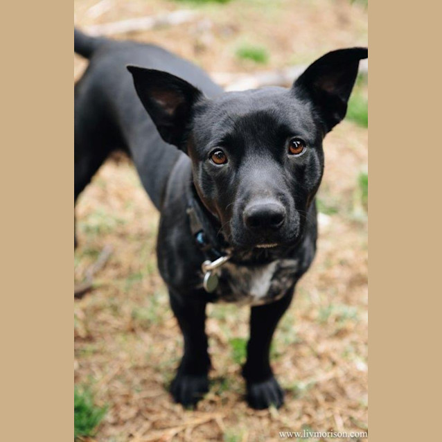 Photo of Nugget Haliwell