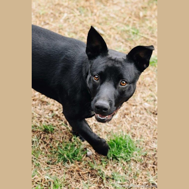 Photo of Nugget Haliwell