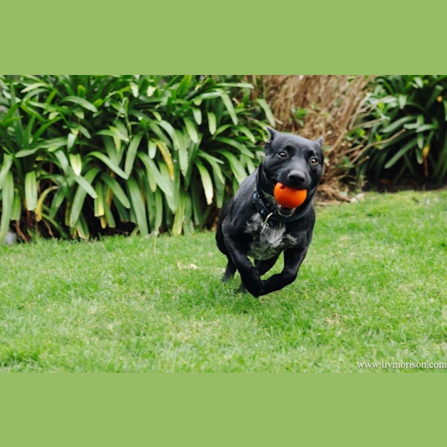 Photo of Nugget Haliwell