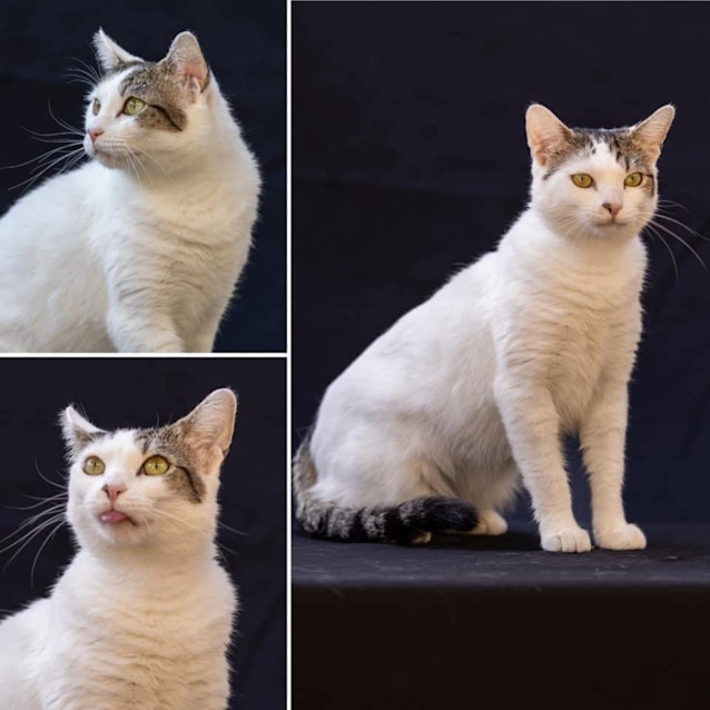 Photo of 10878   Luna