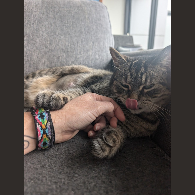 Photo of Tilly