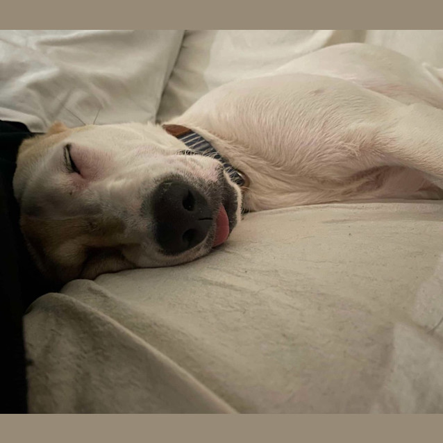 Photo of Penny