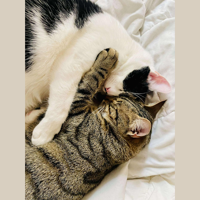 Photo of Phillip   Located In Preston