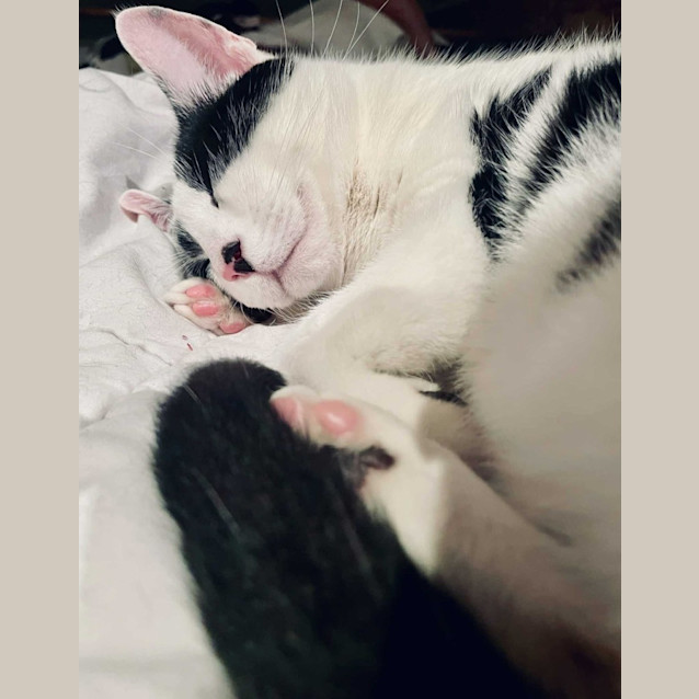 Photo of Phillip   Located In Preston