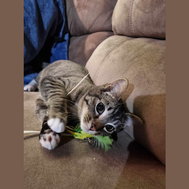 Photo of Maurice