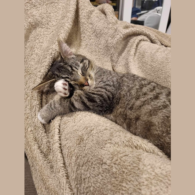 Photo of Maurice