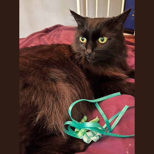 Photo of Duchess