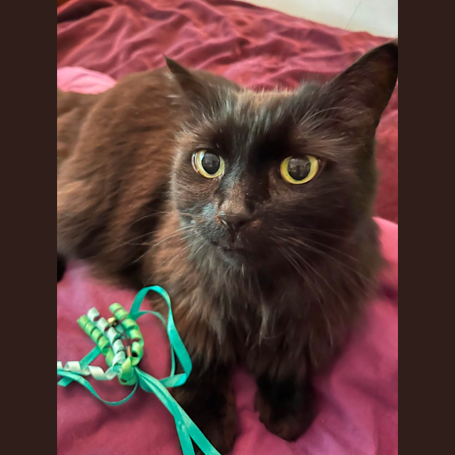Photo of Duchess