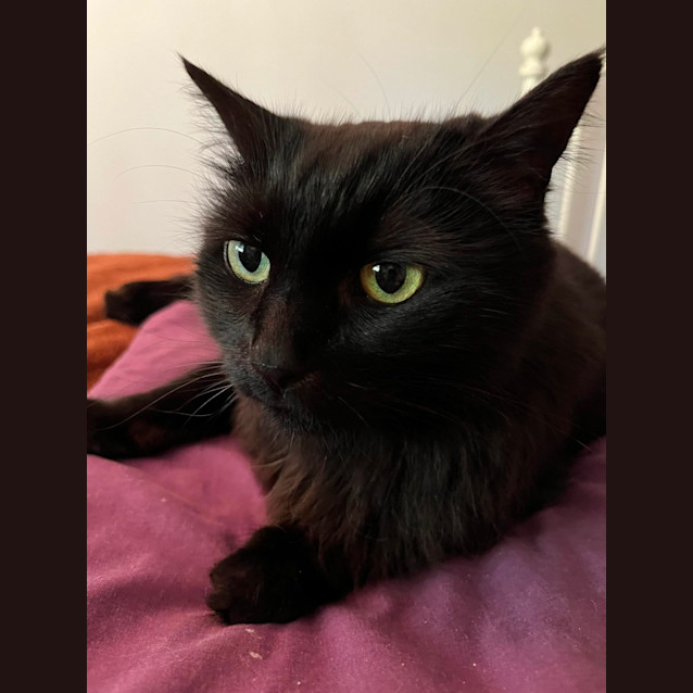 Photo of Duchess