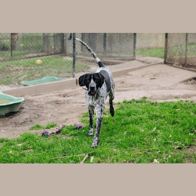 Photo of Bobby Overton