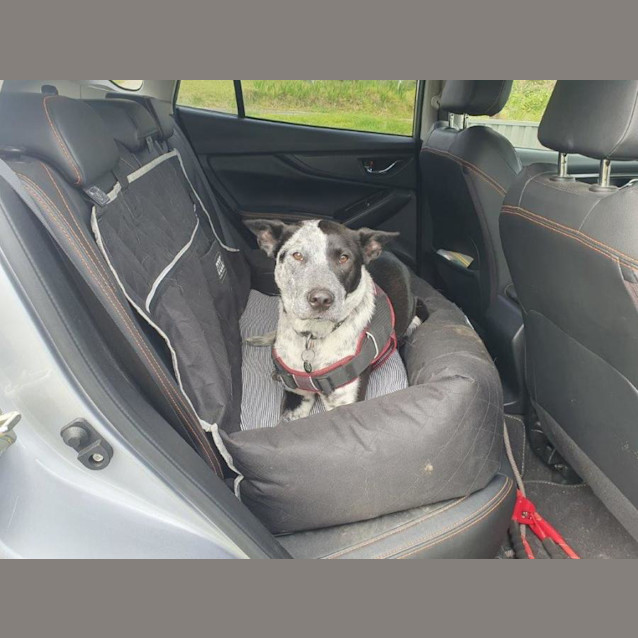 Photo of Siggy Elphinstone