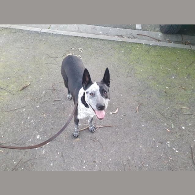 Photo of Siggy Elphinstone