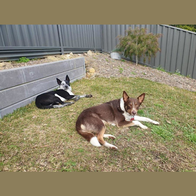 Photo of Siggy Elphinstone