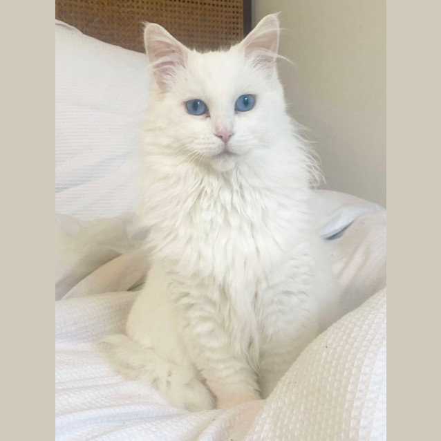 Photo of 🩷 Bianca 🩷