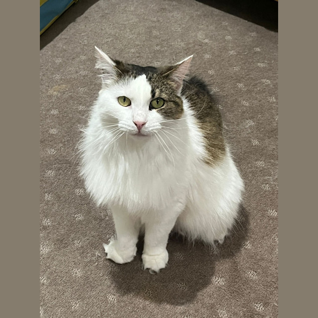 Photo of Molly