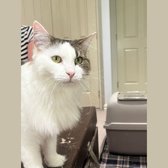 Photo of Molly