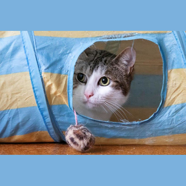 Photo of Bowie Jagger