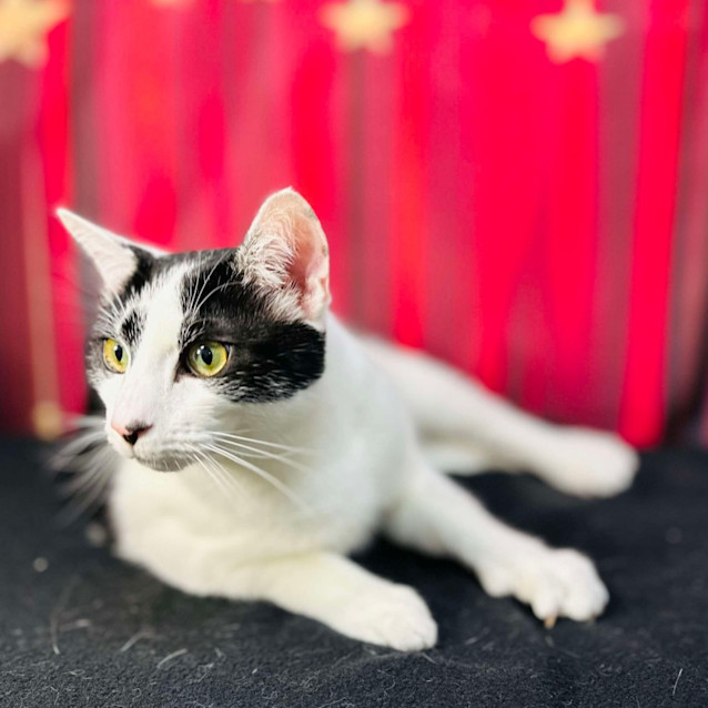 Photo of Phillip   Located In Preston