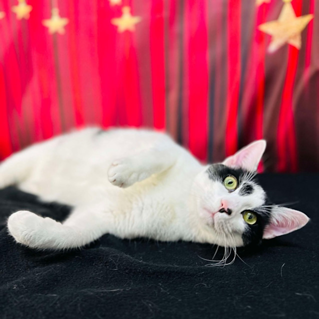 Photo of Phillip   Located In Preston