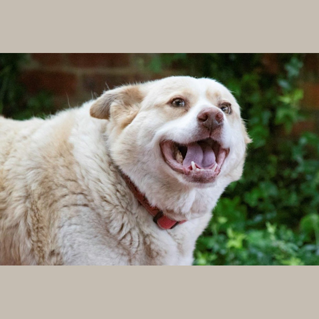 Photo of Mickey Elphinstone