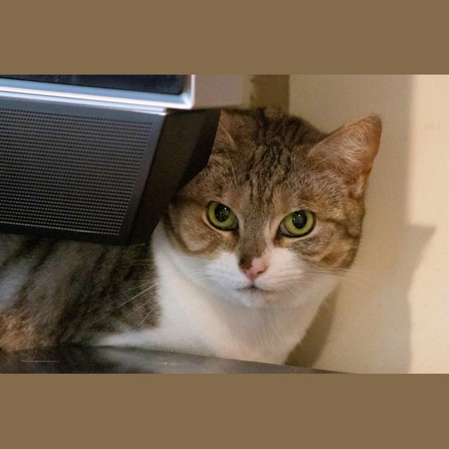 Photo of Kaolin Jagger