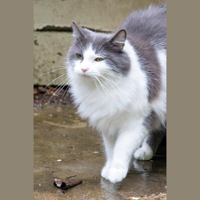 Photo of Indigo Haliwell