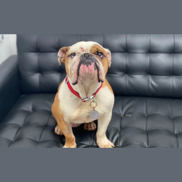 Photo of Harold