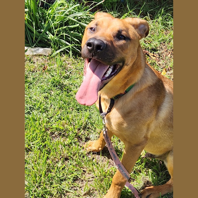 Photo of Kelly Bundy