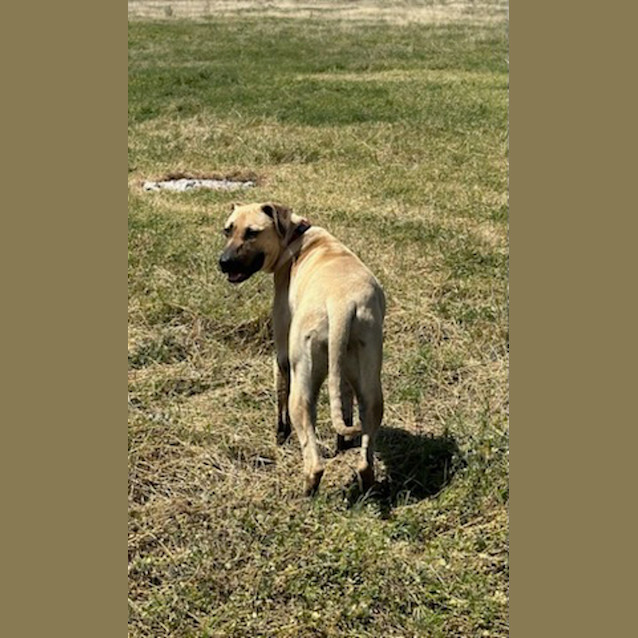 Photo of Marly